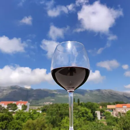 Apartman Petra * Mocici
